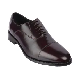 Samuel Windsor - Bolton 65 <br> Big Size Regular Width Genuine Leather Brown Formal Lace-Up Shoes