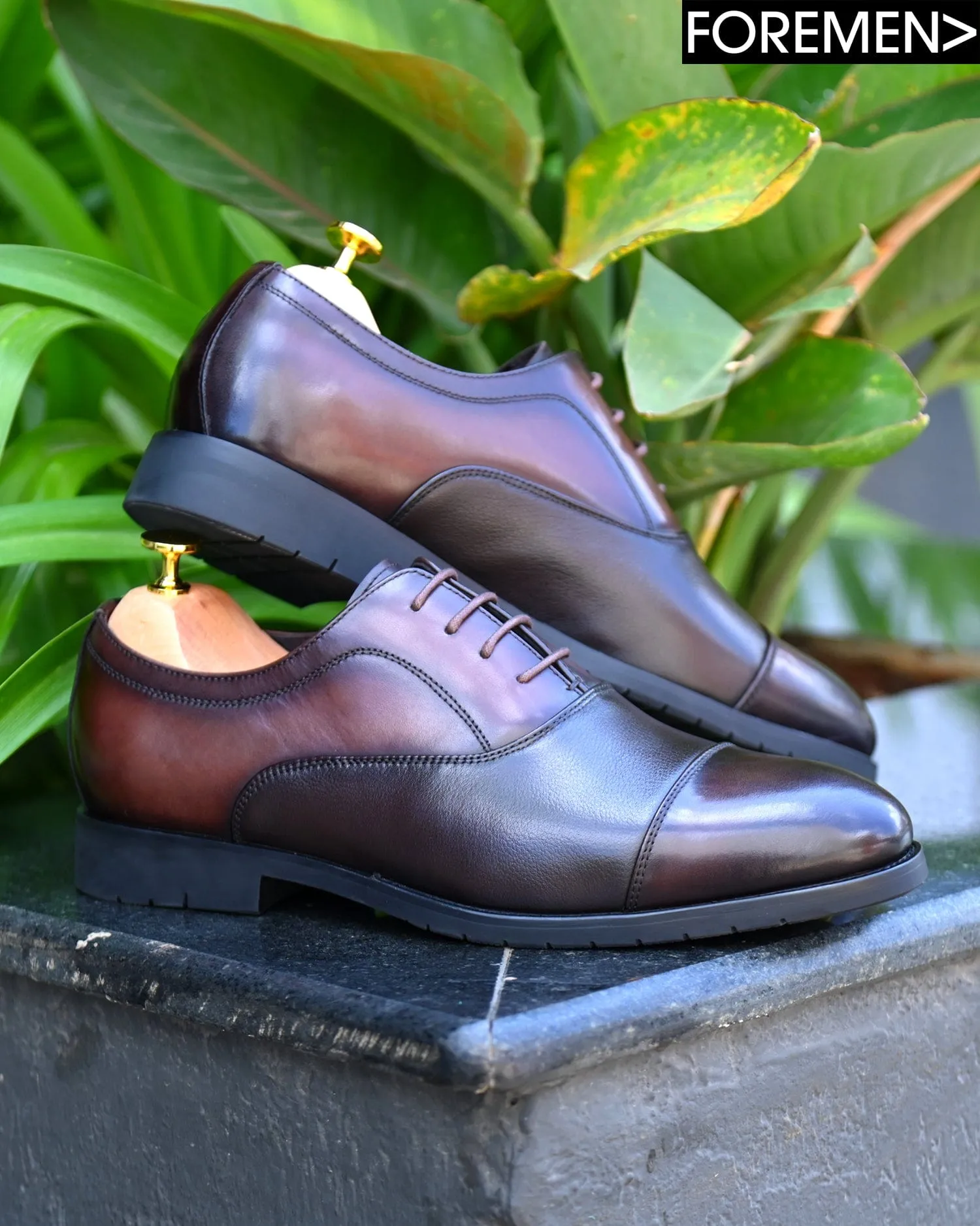 WASHINGTON | Cognac Oxfords